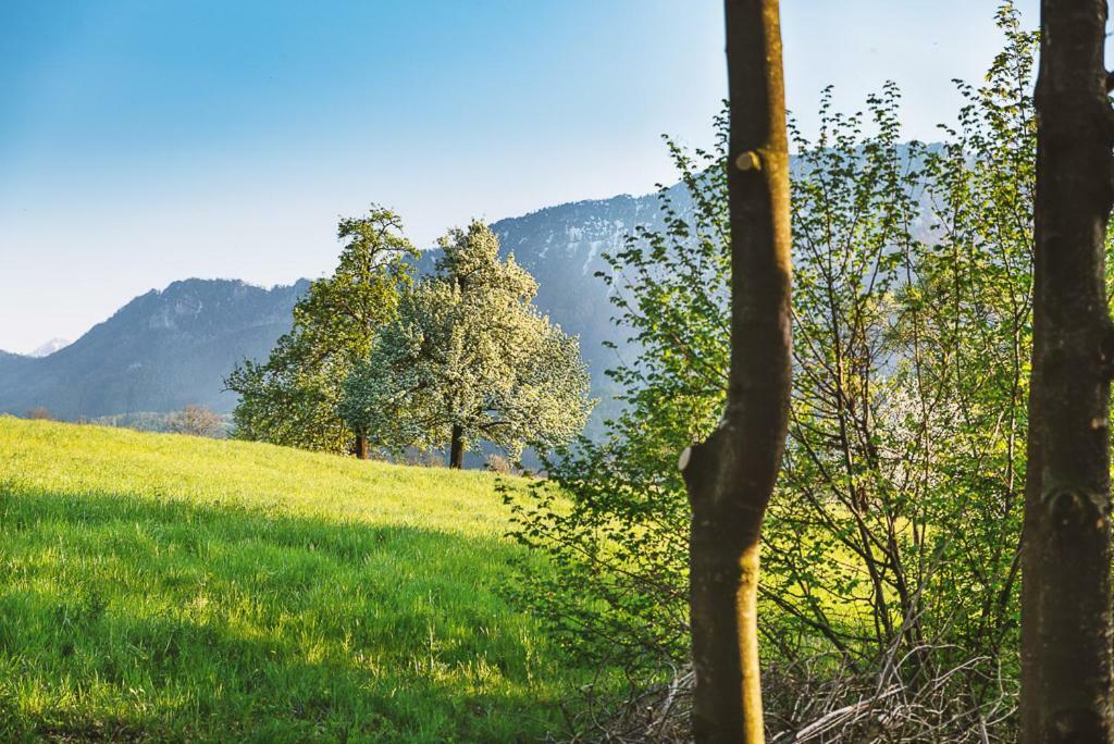 فيلا Auszeit Beim Oswald Micheldorf in Oberösterreich المظهر الخارجي الصورة